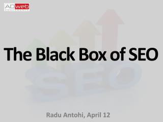 The Black B ox of SEO