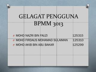 GELAGAT PENGGUNA BPMM 3013