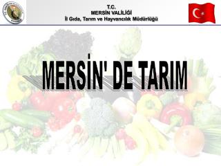 T.C. MERSİN VALİLİĞİ İl Gıda, Tarım ve Hayvancılık Müdürlüğü