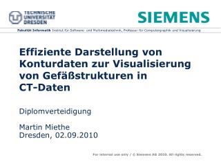 Effiziente Darstellung von Konturdaten zur Visualisierung von Gefäßstrukturen in CT-Daten