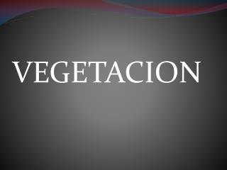 VEGETACION