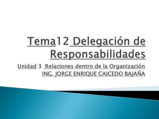 Tema 12 Delegación de Responsabilidades