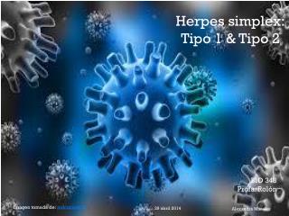 Herpes simplex: Tipo 1 &amp; Tipo 2