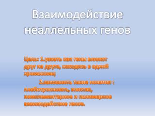 Взаимодействие неаллельных генов