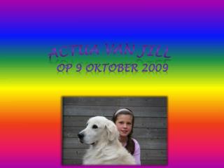 actua van jill