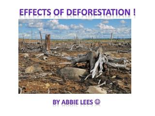 EFFECTS OF DEFORESTATION !