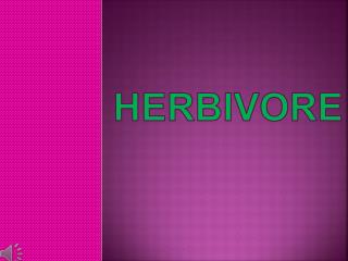 Herbivore