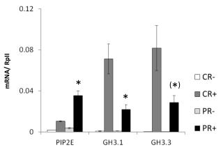mRNA/ RpII