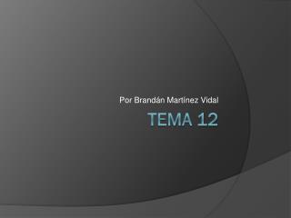 Tema 12