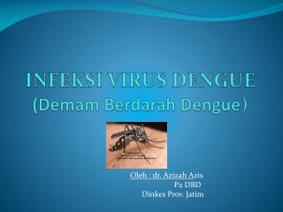 INFEKSI VIRUS DENGUE ( Demam Berdarah Dengue )