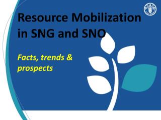 Resource Mobilization in SNG and SNO Facts, trends &amp; prospects