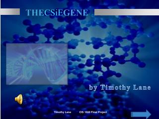 The CSiE Gene