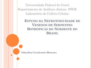 Estudo da Nefrotoxicidade de Venenos de Serpentes Botrópicas do Nordeste do Brasil