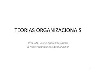 TEORIAS ORGANIZACIONAIS