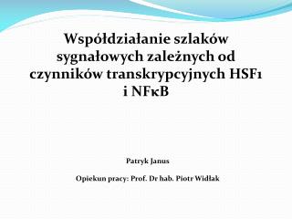 Współdziałanie szlaków sygnałowych zależnych od czynników transkrypcyjnych HSF1 i NFκB