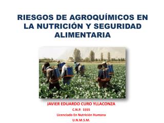 RIESGOS DE AGROQUÍMICOS EN LA NUTRICIÓN Y SEGURIDAD ALIMENTARIA