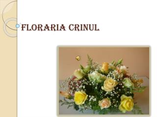 Floraria Crinul