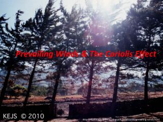 Prevailing Winds &amp; The Coriolis Effect