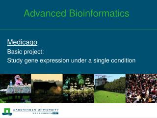 Advanced Bioinformatics