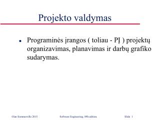 Projekto valdymas