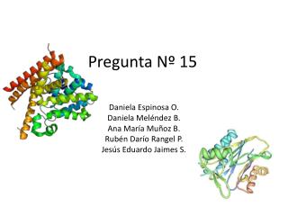 Pregunta Nº 15