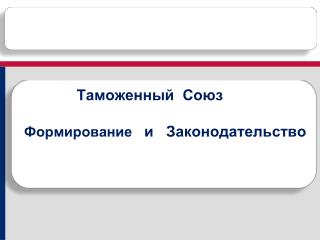 Таможенный Союз Формирование и Законодательство
