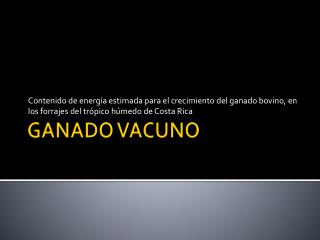 GANADO VACUNO