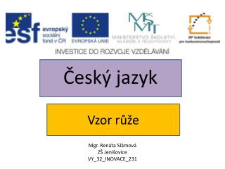 Vzor růže