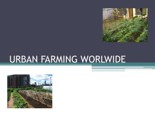 URBAN FARMING WORLWIDE