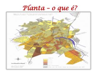 Planta – o que é?