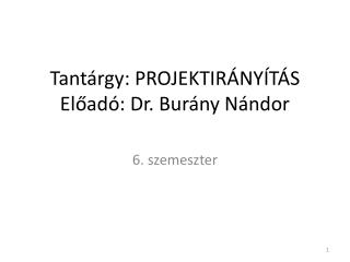 Tantárgy: PROJEKTIR ÁNYÍTÁS Előadó: Dr. Burány Nándor