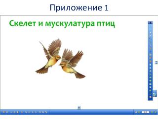 Приложение 1