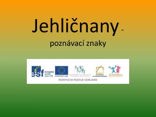 Jehličnany - poznávací znaky