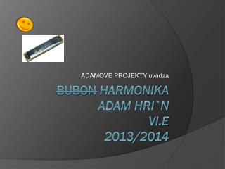 bubon Harmonika ADAM HRI`N VI.E 2013/2014