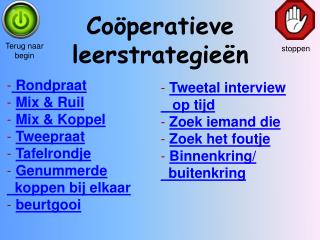 Coöperatieve leerstrategieën