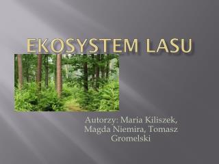 EKOSYSTEM LASU