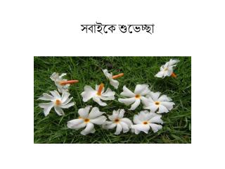 সবাইকে শুভেচ্ছা