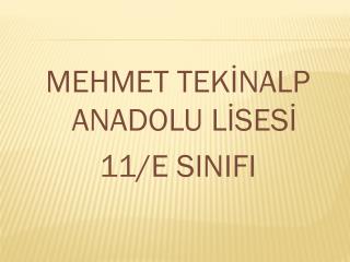 MEHMET TEKİNALP ANADOLU LİSESİ 11/E SINIFI