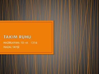TAKIM RUHU