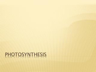 PHOTOSYNTHESIS