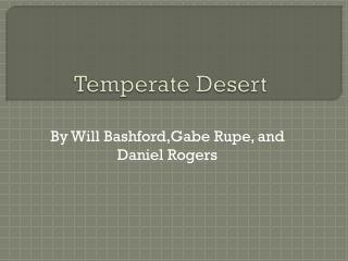 Temperate Desert