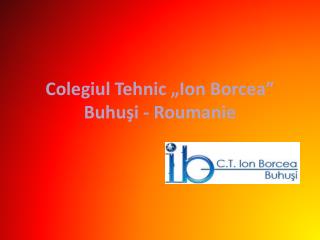 Colegiul Tehnic „Ion Borcea” Buhuşi - Roumanie