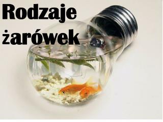 Rodzaje żarówek