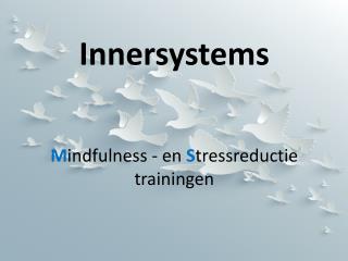 Innersystems M indfulness - en S tressreductie trainingen