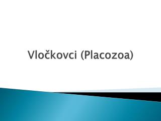 Vločkovci ( Placozoa )