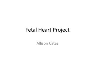 Fetal Heart Project