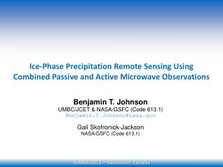 Ice-Phase Precipitation Remote Sensing Using Combined Passive and Active Microwave Observations