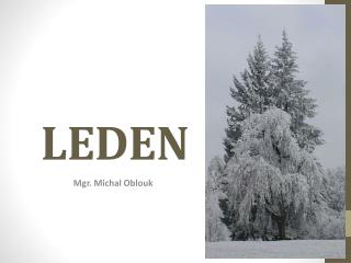 LEDEN