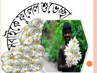 সবাইকে ফুলেল শুভেচ্ছা