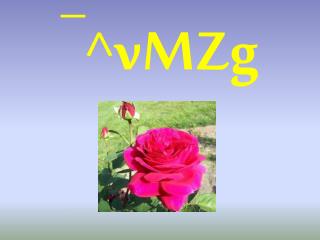 ¯^ vMZg